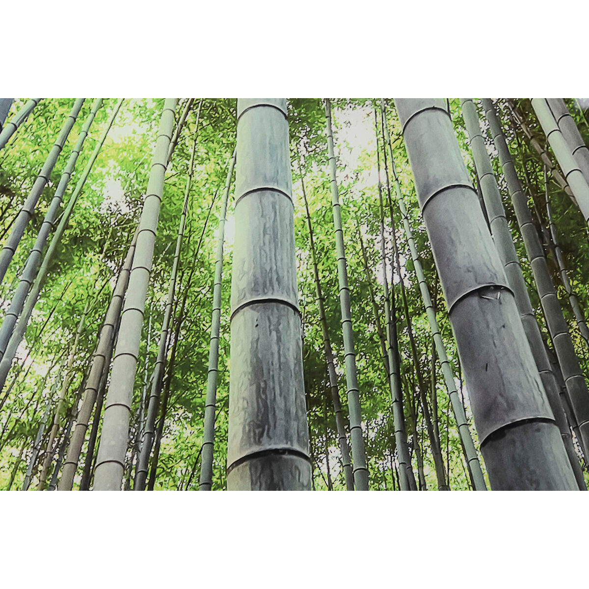 V6H8DFEE6D2C125F126D2F6B9B79C3C8A6BR6373240P3