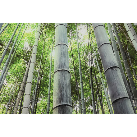 V6H8DFEE6D2C125F126D2F6B9B79C3C8A6BR6373240P3