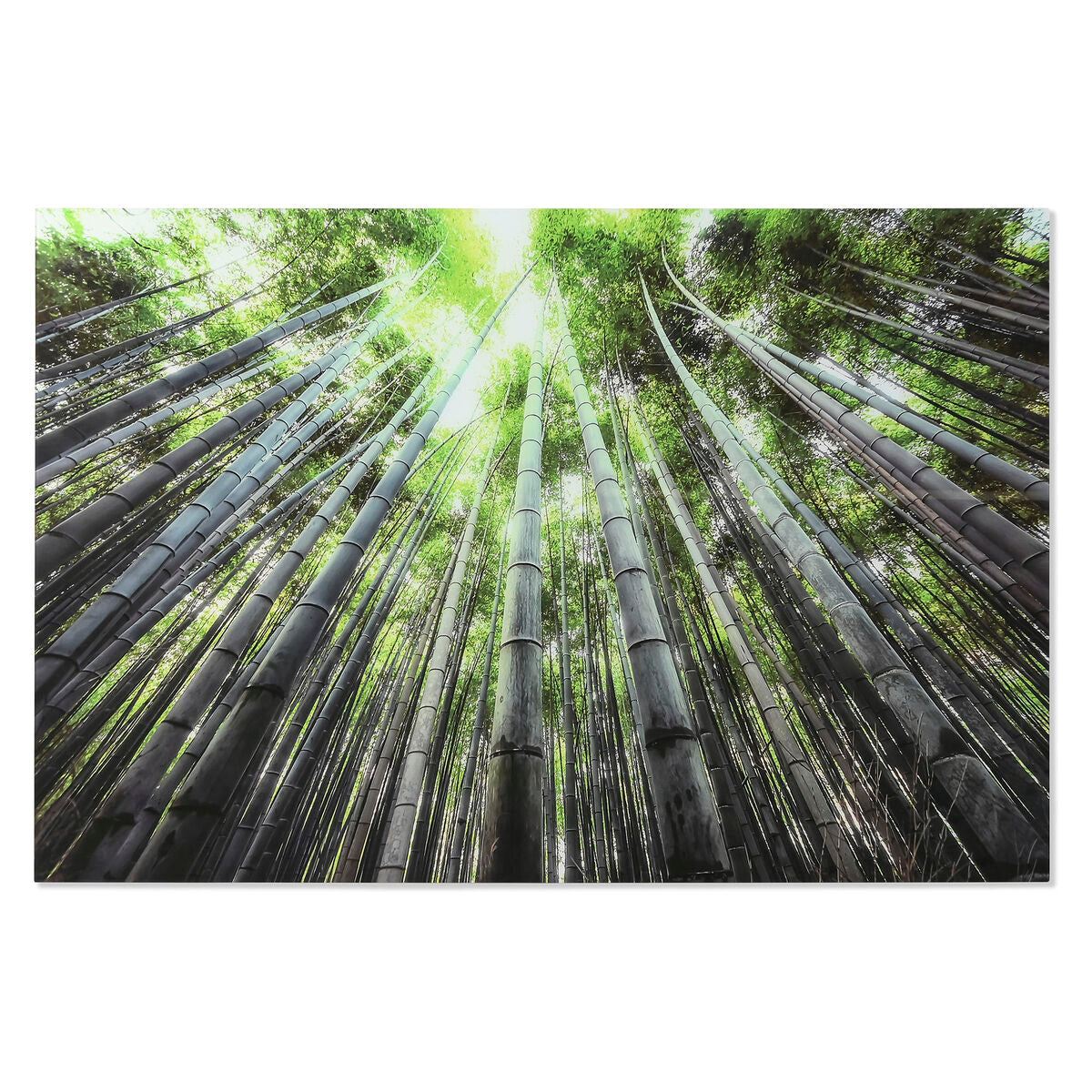 V6HE3A1B56DB1336861D394C81D714474F7R6373237P1