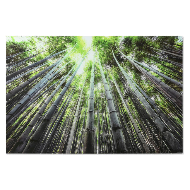 V6HE3A1B56DB1336861D394C81D714474F7R6373237P1