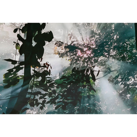 V6H38922A19197D65414A190C39945253EFR6373192P3