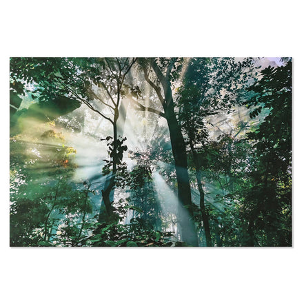 V6HBD14B40FBA0F91980D1ED2F4D3A49DC5R6373186P1