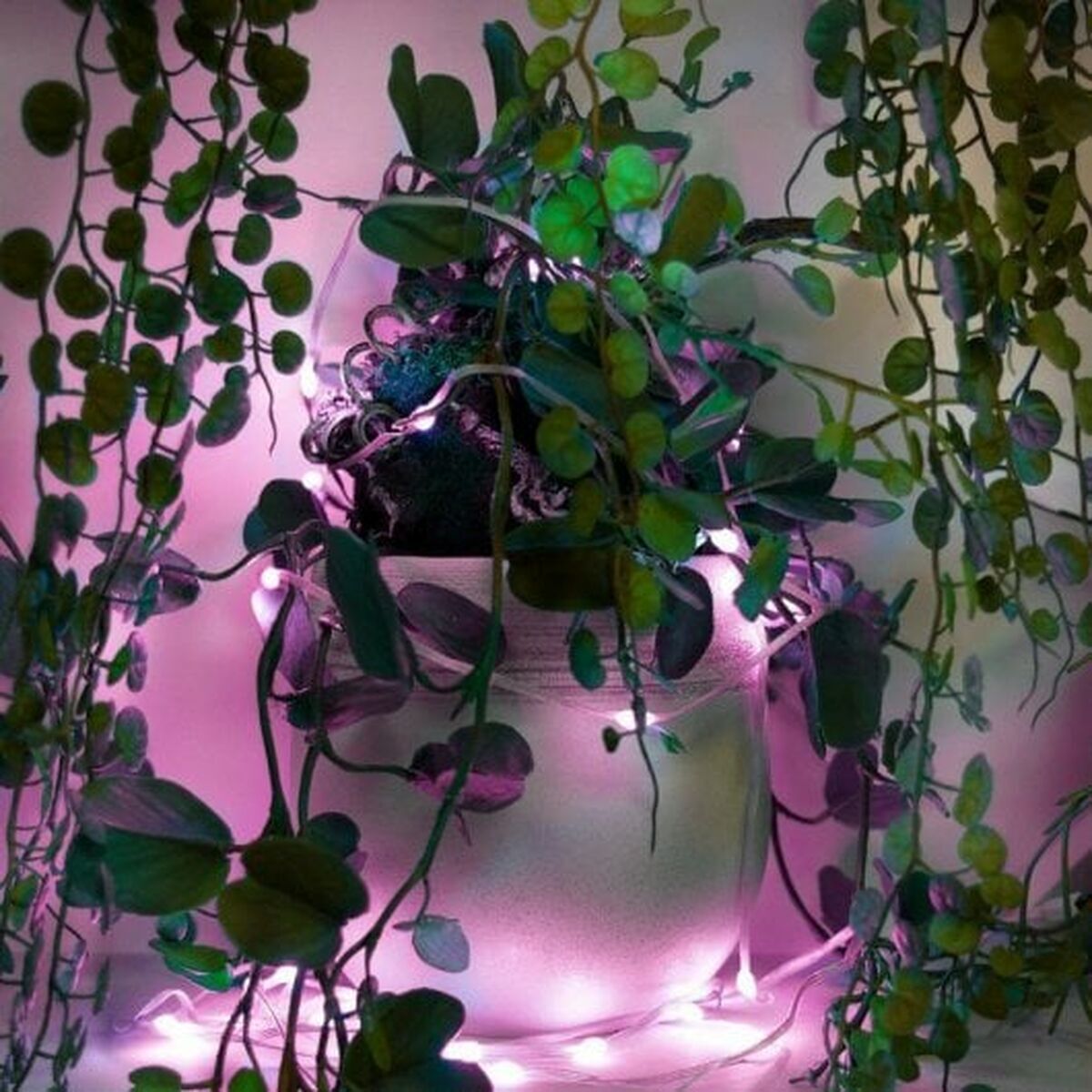 V2H76DBF0717FAF74EEC3079BD4A432D926R7572518P8